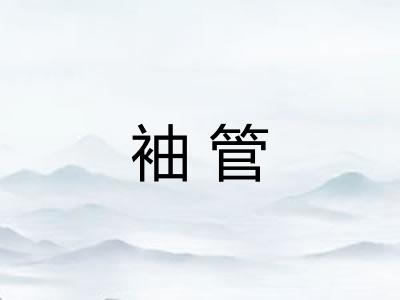 袖管 袖管