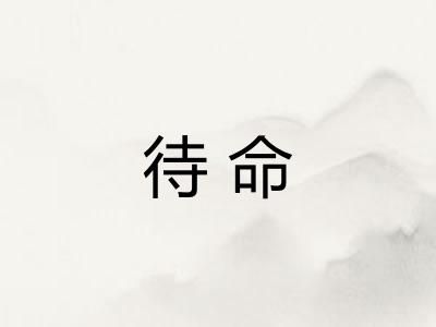 待命 待命