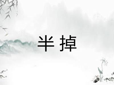 半掉