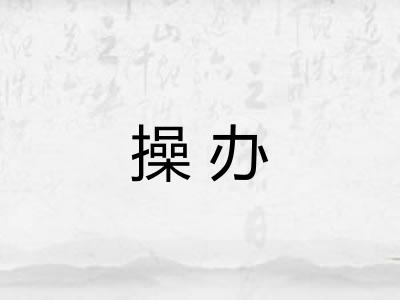操办