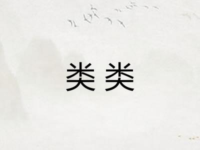 类类 类类