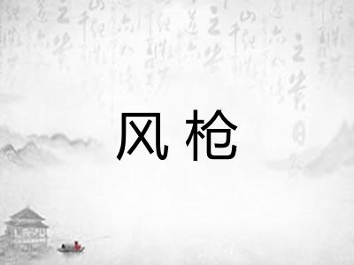 风枪 风枪