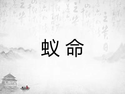 蚁命 蚁命