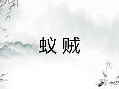 蚁贼