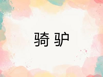 骑驴