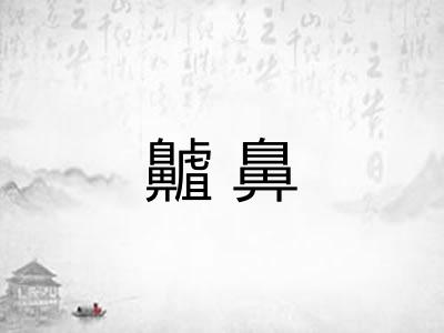 齇鼻