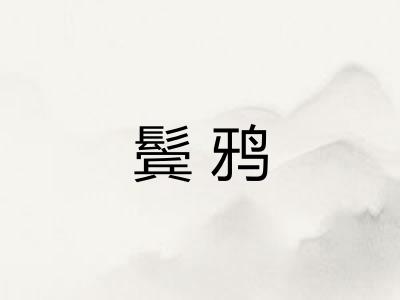 鬓鸦 鬓鸦