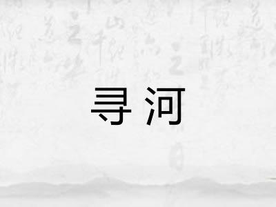 寻河