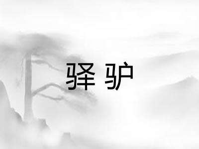 驿驴 驿驴