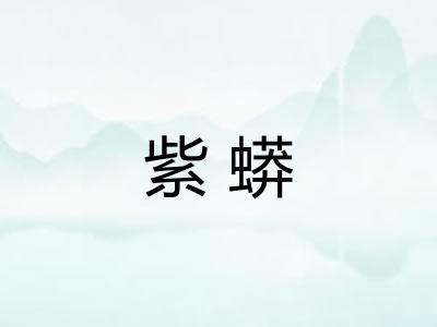 紫蟒