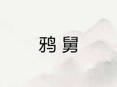 鸦舅