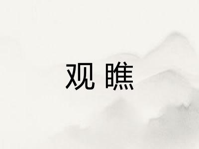 观瞧 观瞧