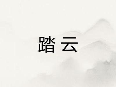 踏云 踏云