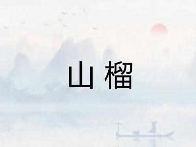 山榴