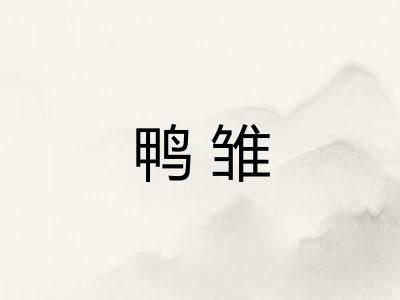 鸭雏 鸭雏