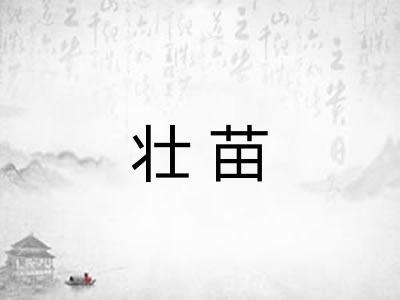 壮苗 壮苗