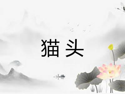 猫头 猫头