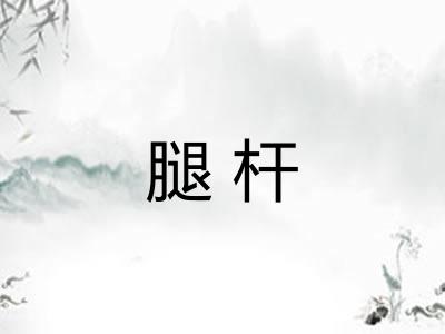 腿杆 腿杆