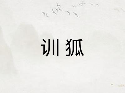 训狐