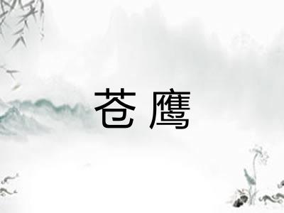 苍鹰 苍鹰