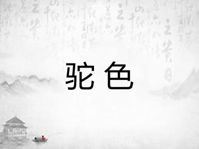 驼色 驼色