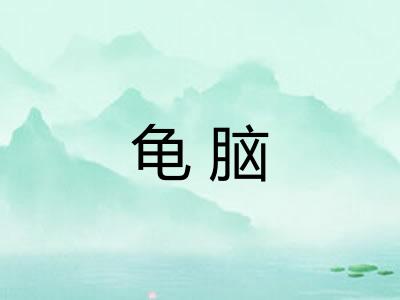 龟脑 龟脑