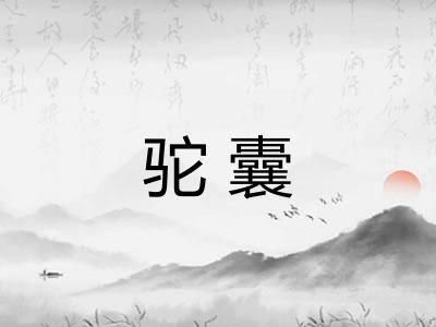 驼囊 驼囊
