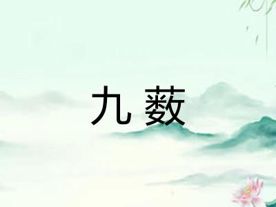 九薮