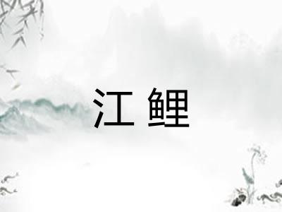 江鲤