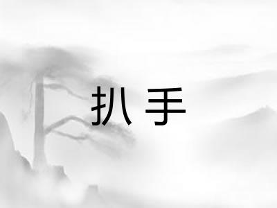 扒手