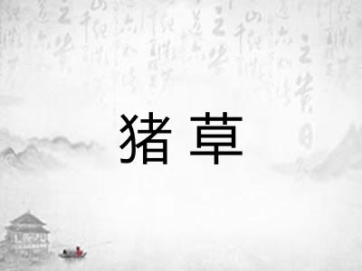 猪草