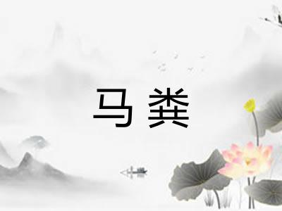 马粪 马粪