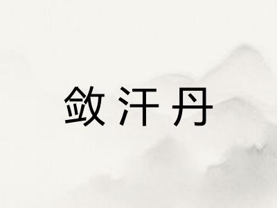 敛汗丹