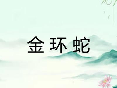 金环蛇