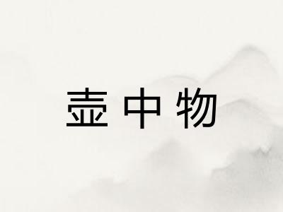 壶中物