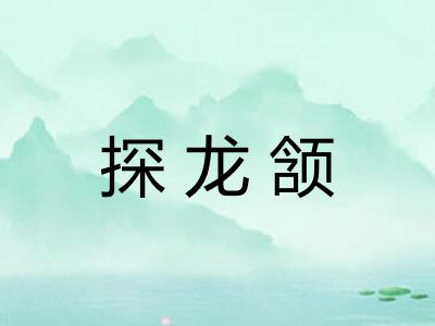 探龙颔 探龙颔