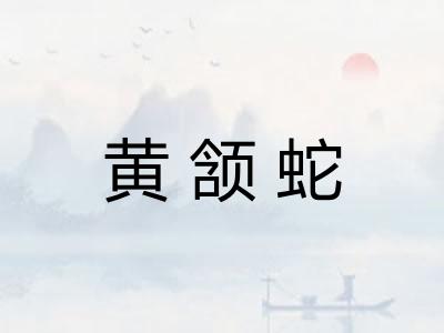 黄颔蛇