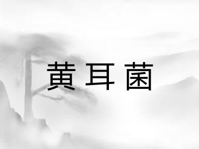 黄耳菌 黄耳菌