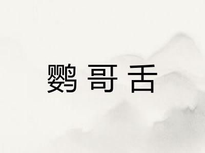 鹦哥舌 鹦哥舌