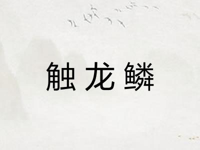 触龙鳞