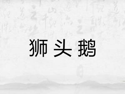 狮头鹅