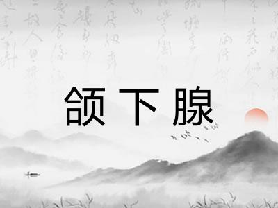 颌下腺
