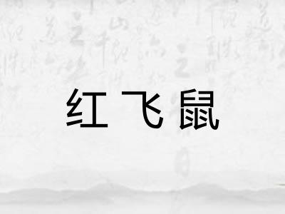 红飞鼠 红飞鼠