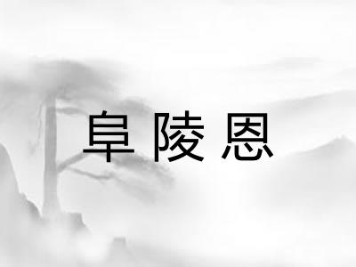 阜陵恩