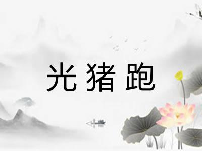 光猪跑