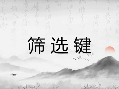 筛选键 筛选键