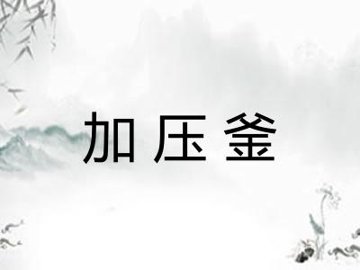 加压釜 加压釜