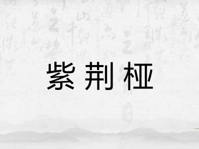 紫荆桠