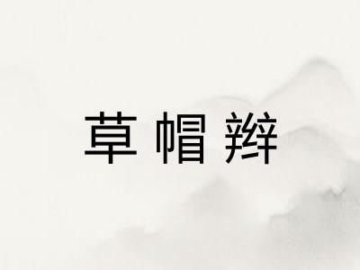 草帽辫 草帽辫