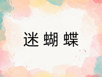 迷蝴蝶